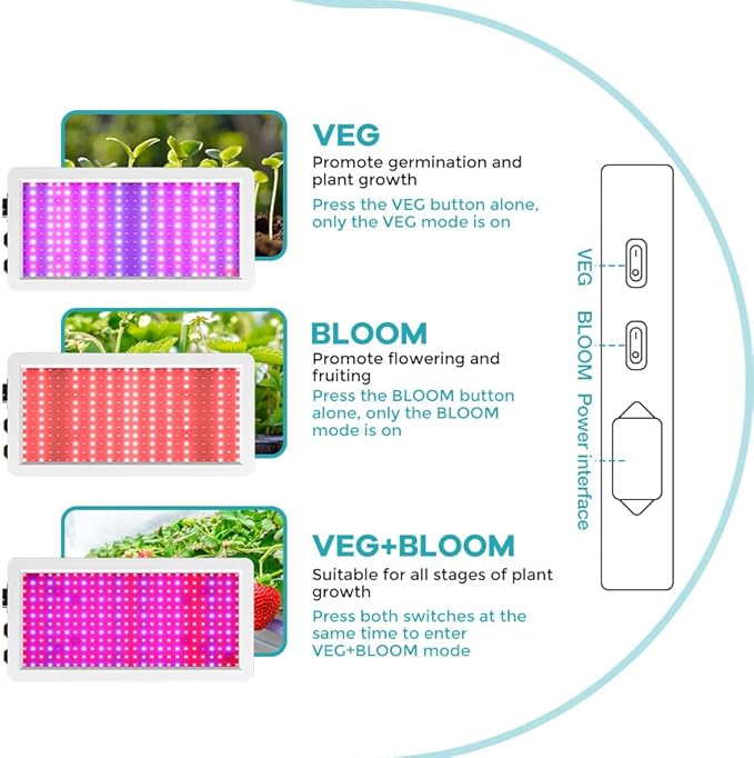 800W LED Growth Lamps – Full Spectrum Each Supplying UV/IR Spectrums To Replicate Natural SunlightComes With Compact US Plugs Ideal For Indoor Small-Space Gardens Hydroponic Boxes &amp Sapling Gr