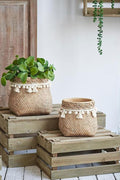 Set of 2 6.5x6.5x6 Brown Cement Planter with Woven Tassel Accent