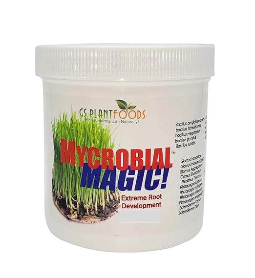 GS Plant Foods- Mycorrhizal Root Stimulator - MYCROBIAL Magic Root Enhancer for Plants Use-16 Ounce Package. 4 Endo &amp 7 Ecto Mycorrhizae Species Plus 5 Species of Beneficial Bacilluis with Humic.