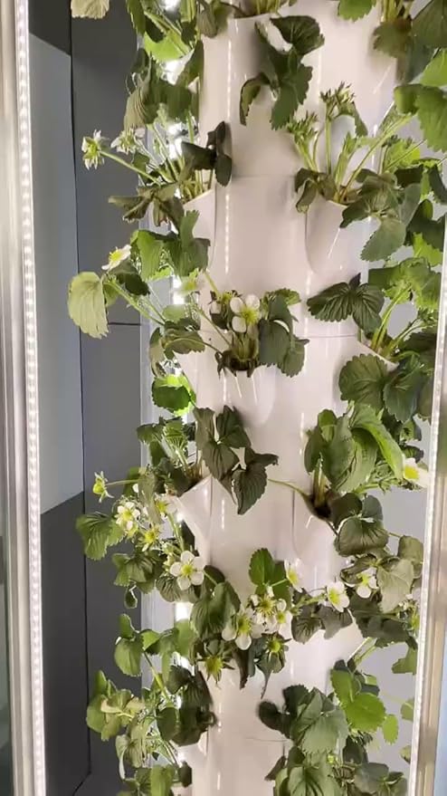 Aeroponic Vertical Tower Garden System 9 Layers with 4 Grow Ports 36 Plant Ports LED Light Kit Rockwool Pump &amp More Soil-Free Growing System for Indoor &amp Outdoor Home Growing