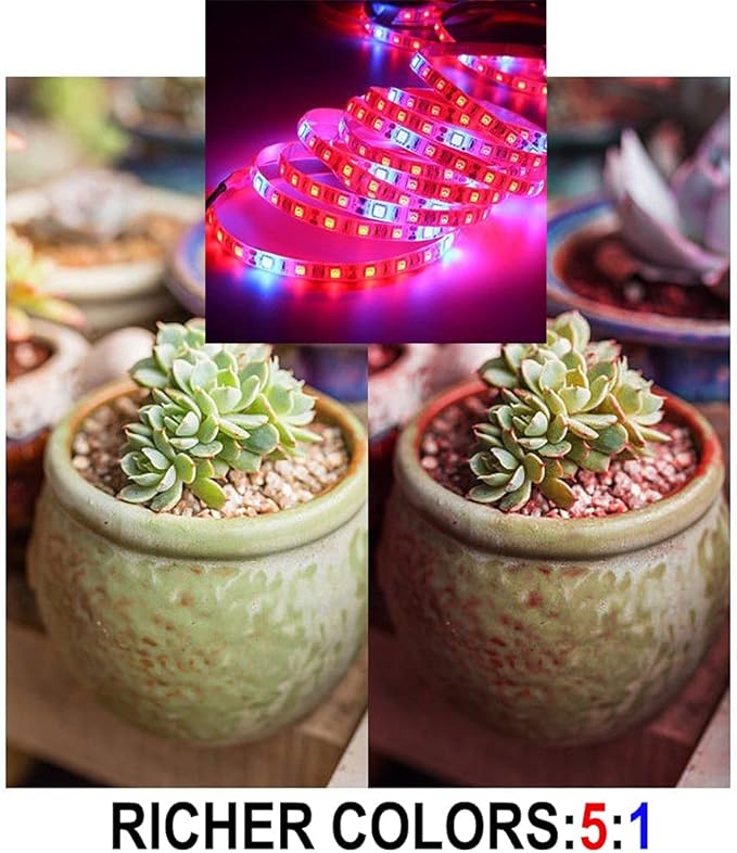 DC 12V 5050 LED Growth Lights Plant Growing LED Strip Light Tape Set with Power and Switch for Aquarium Hydroponic Plant (RED:Blue=4:1 5M Set Waterproof)