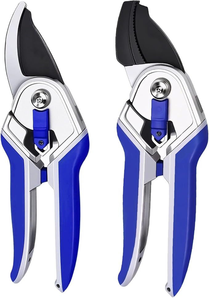 Garvee Professional Pruning Shears &amp Garden Shears Set | Stainless Steel Blades with Ergonomic Comfort Grip | Essential Gardening Tools for Women &amp Plant Care Enthusiasts