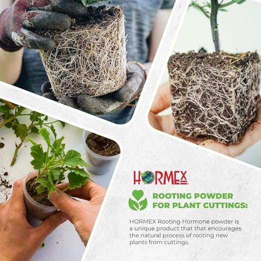 Hormex Rooting Powder #8 &amp Vitamin B1 Hormone Concentrate Combo - Root Stimulator for Semi-Hardwood Cuttings &amp Liquid - Perfect for Hydroponics House Plants Gardens Fruits &amp Vegetables