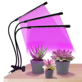 LED Grow Lights for Indoor Plants Plant Grow Lights Full Spectrum Auto ON Off with 3/9/12H Timer 9 Dimmable Lightness Clip-On Desk Grow Lamp Bulbs (Three Head)