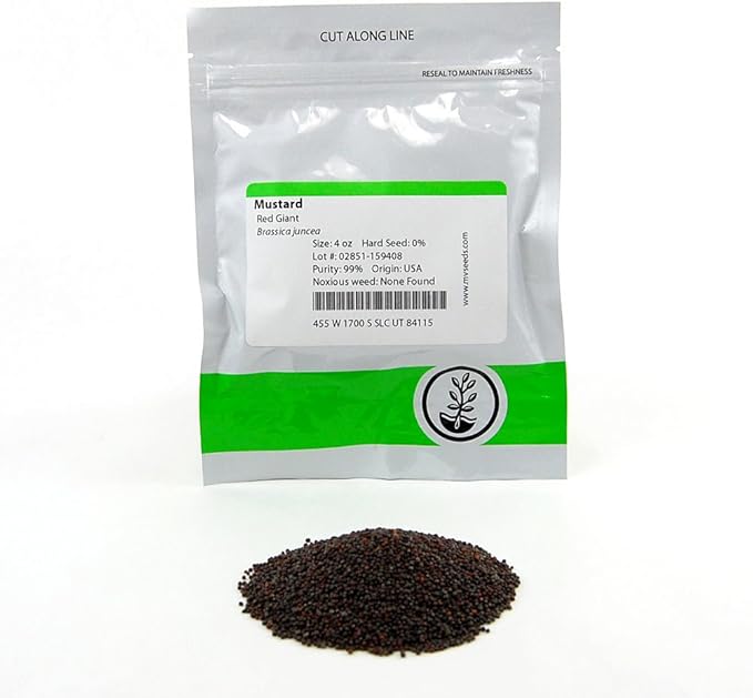 Red Giant Mustard Seeds: 4 Oz - Non-GMO Seeds for Herb Gardening Growing Microgreens Vegetable Garden