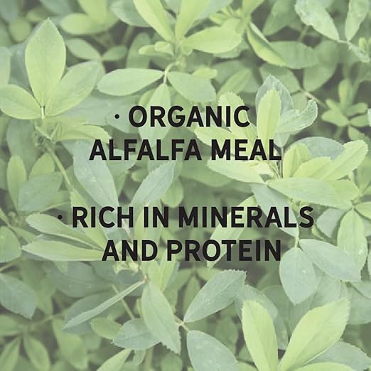 New Country Organics Alfalfa Meal Plant Fertilizer &amp Feed Supplement - Certified Organic &amp Non-GMO - Feed Grade - Suitable As Organic Feed Supplement &amp Organic Fertilizer - 50 Lbs