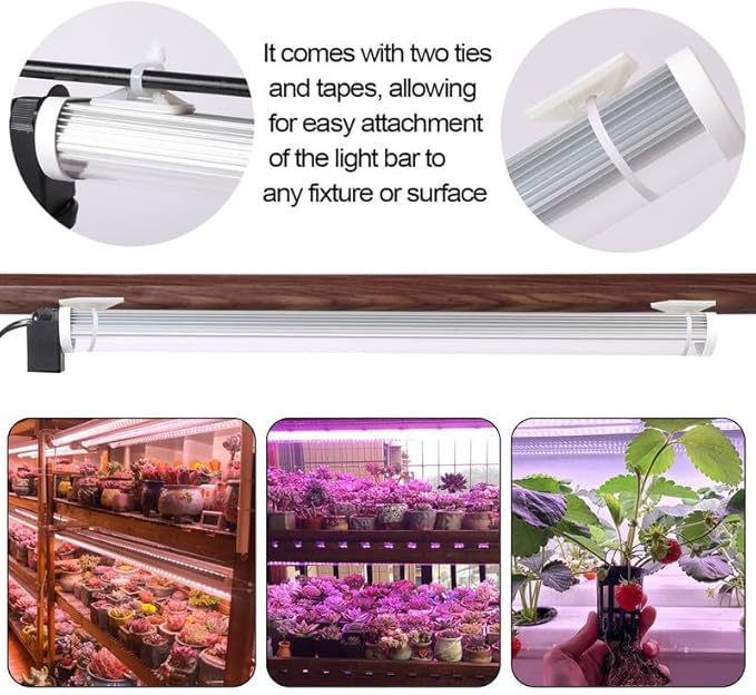 JCBritw Standing LED Grow LightAdjustable T12 Bar Plant Light White 6500K Full Spectrum Plant Grow Lamp on Stand for Indoor Plants Seed Starting Seedlings Veg Flower