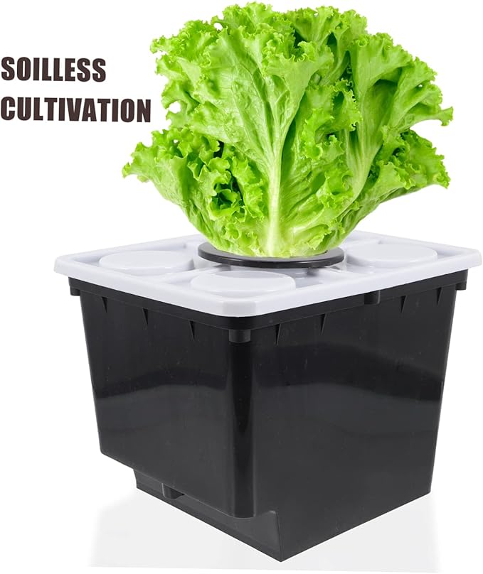 Mipcase Hydroponics System Bucket Durable Planting Basket for Soilless Vegetable Cultivation Easy Assembly Suitable for Indoor Outdoor Use with Single Cover