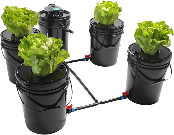 DWC Hydroponics Grow System 5 Gallon Deep Water Culture Hydroponic Bubbler Bucket Kit with Air Pump for Growing Fruits Crops Vegetables