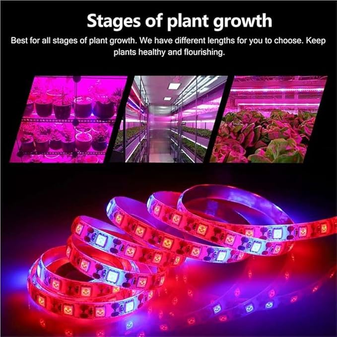 Fengyan Landscape Lights 5m LED Strip Plant Grow Lights Waterproof Full Spectrum Flower Phyto Lamp Red Blue 5:1 for Greenhouse Hydroponic LED Street Lamp (Emitting Color : 5M 300LED)