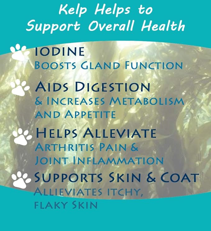 Wolf Creek Ranch Icelandic Kelp Meal - Loaded with Nutrients That Support Your Livestock Or Pet &amp A Natural Seaweed Fertilizer for Plants Icelandic Kelp Meal 2lbs
