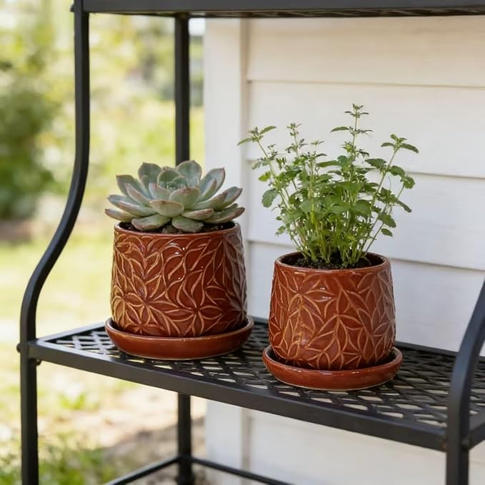 Handmade Ceramic Flower Pot with Leaf Pattern 6 8 Inch Diameter Rust Red Color for Orchids IndoorOutdoor Use on Windowsills Bookshelves Breathable Clay with Saucer