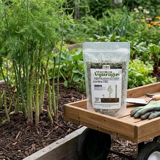 Old Cobblers Farm™ Wicked Organics Organic Asparagus Fertilizer - All-Natural Plant Nutrients for Healthy Growth (5lbs/10lbs/15lbs/20lbs) (10lbs)