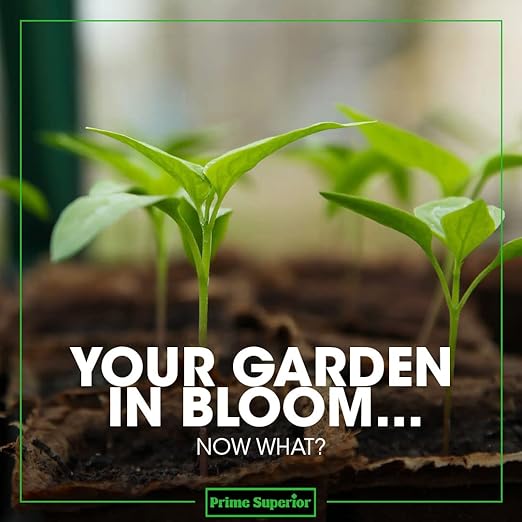 Honey. Cloning Gel inoculant with Beneficial Fungus for Plants Throughout Their Life. Safe for Pets and Family. Proprietary Strain colonizes Whole Plant.