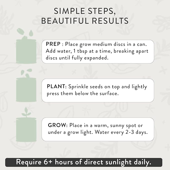 Modern Sprout Complimentary Color Grow Kits (Pack of 6) - Seed Starter Kit - Includes Strawberry Sunflower Cactus Tomato Melon &amp Lavender Seeds - Gardening Gifts that Grows with Love
