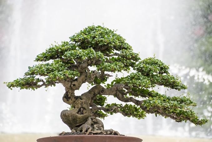 Gardenera Premium Raspberry Potting Soil Mix - Optimal Blend for Thriving and Juicy Berries - 3 Quart