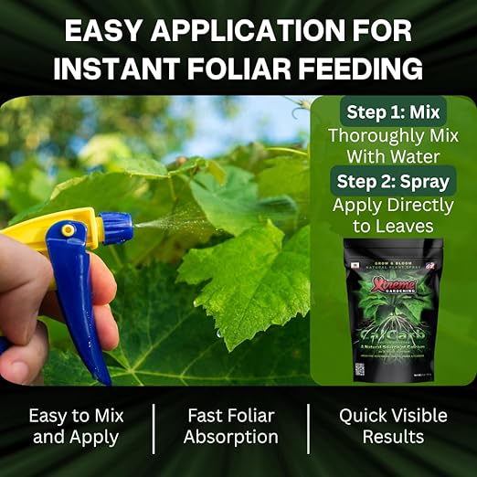 Xtreme Gardening CalCarb Calcium Foliar Spray — Supports Photosynthesis Stress Resistance &amp Prevents Blossom End Rot — for Indoor &amp Outdoor Plants 6 oz