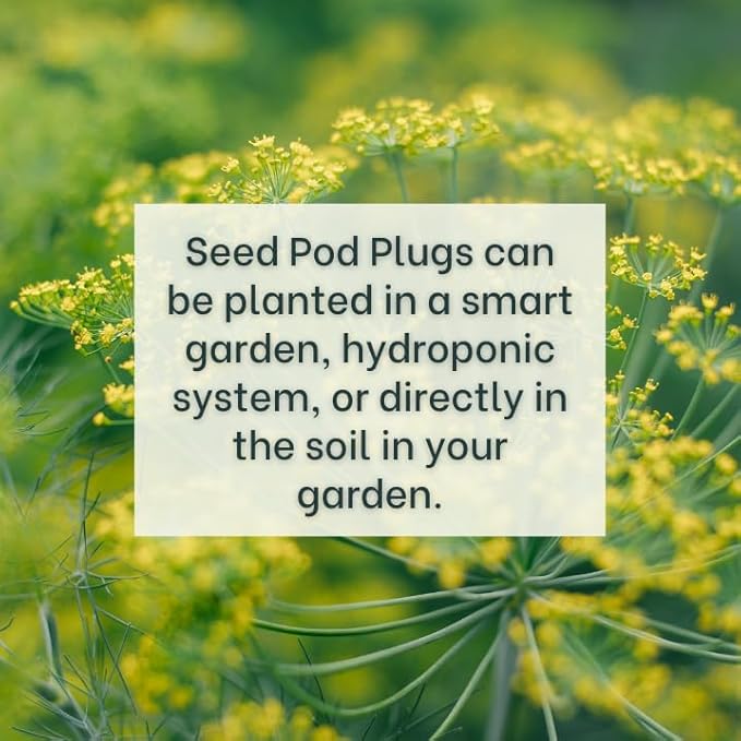 Fernleaf Dill - Complete Seed Pod Plugs with Plant Food - 10 Pods for Hydroponic Gardens Click and Grow Lettuce Grow and Outdoor Gardens