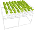 Hydroponics Growing System72-Holes Hydroponic Grow Kit Water Culture Sys with Water Pump &amp Pump Timer Hydroponic Growing Sys for Leafy Vegetables