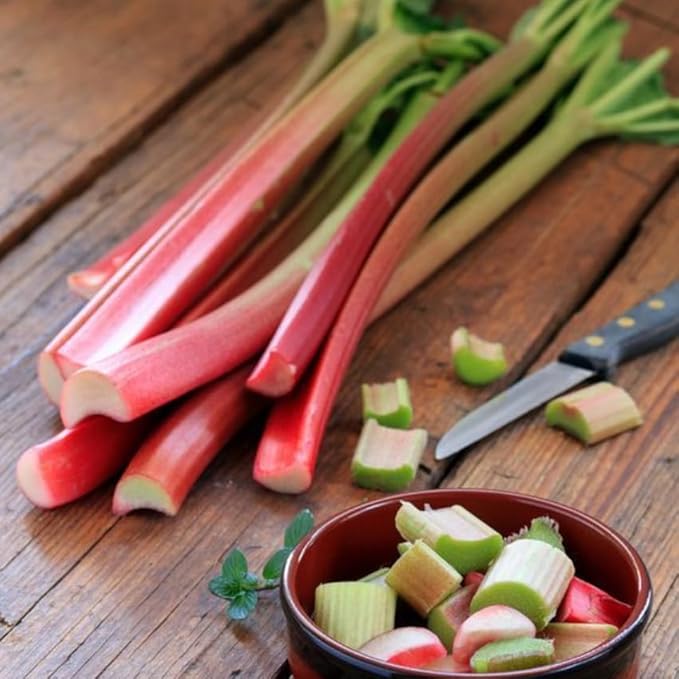 2 Large Rhubarb Crowns Plants for Planting Big Size 6-7 Inch Crown Large Stalk in First Year Hardy Heirloom Rhubarb Non GMO with Giant Red Stalk