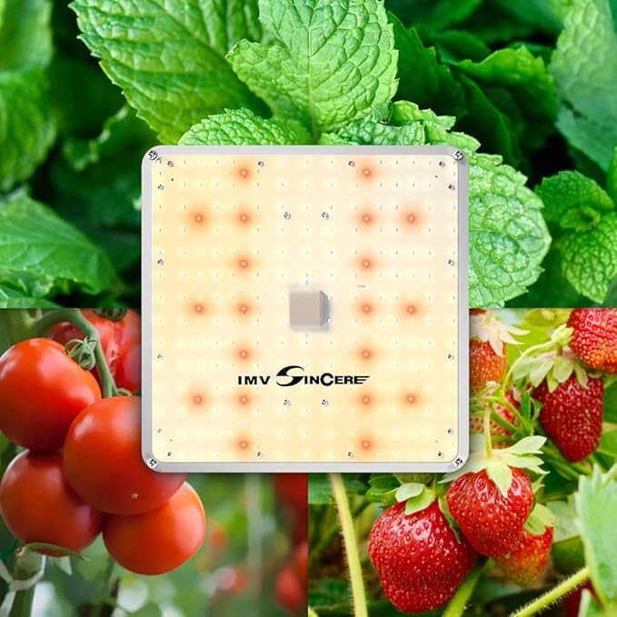 IMVSINCERE LED Grow Lights 2025 100W Full Spectrum Grow Light with Samsung LM301 Diodes Seedling Veg &amp Bloom Dimmable Sunlike for Indoor Plants 3x3 Grow Tents High PPFD
