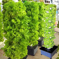 15 Tiers 45 Holes Hydroponic Tower Kit Hydroponic Growing Den Garden Growing Garden Aeroponics Growing Kit Growing Tower G