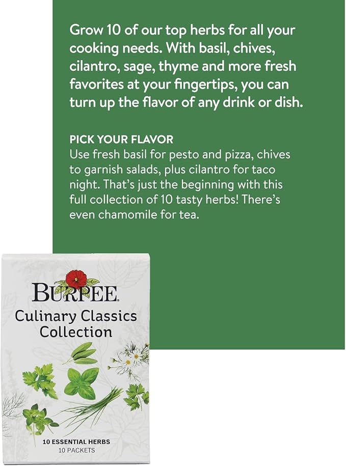 Burpee Culinary Classics Garden Collection 10 Packets of Non-GMO Chives Cilantro Basil Sage Thyme Dill Parsley Chamomile Marjoram &amp Oregano | Kitchen Herb Variety Pack Seeds for Planting
