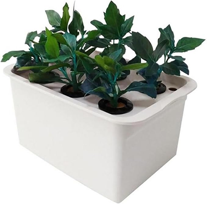 Hydroponic Growing Kit Indoor Garden System - 6 Plant Box (28x19.3x14cm/11x7.6x5.5in) for Lettuce Herbs Flowers