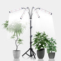 GHodec Grow Light with Stand 200W 6000K Full Spectrum Gooseneck Floor Plant Light for Indoor Plants Growing5 Dimmable Levels &amp Auto On/Off Timer Tripod Stand Adjustable 15-48 in