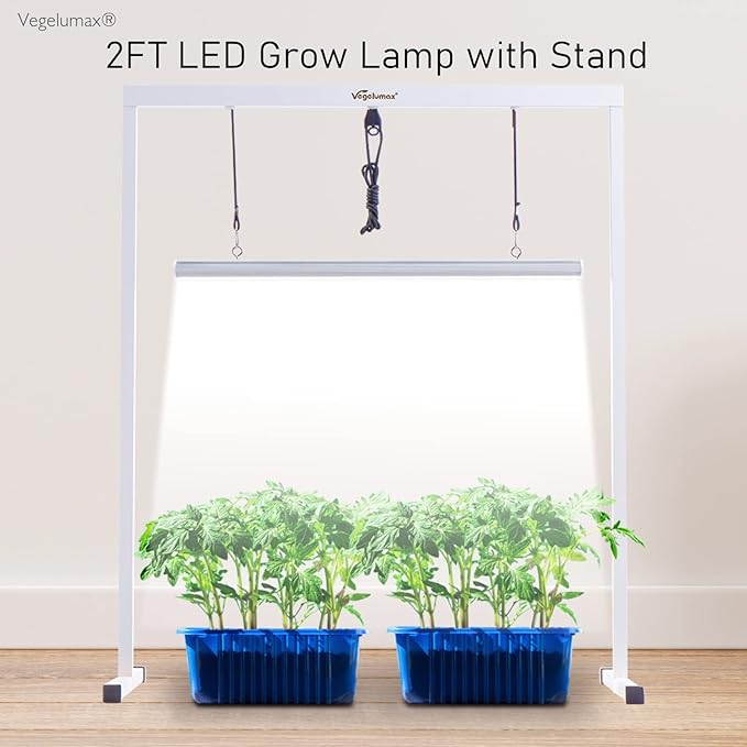 50Watt 2 Feet LED Grow Light Lamp Stand Rack with White Light Full Spectrum CRI90+ for SeedlingSeed Starting Plant GrowingIron Pipe FrameAluminum Heat SinkCCT6500KLamp Height Adjustable