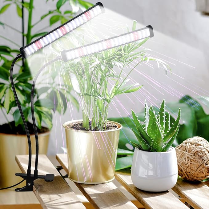 GooingTop Grow Light 100W 6000K Super Bright White Desktop Clip Plant Lamp for Seedlings Succulents Seeds Starting Indoor Plants GrowingBendable Gooseneck &amp Timer 4 8 12 H