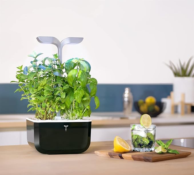 Veritable EXKY Smart Soft Black - Hydroponics Growing System Indoor Garden w/LED Grow Light 2 Organic pre-seeded Lingots® Refills Included. Self Irrigation w/Blinking Alert. Made in France