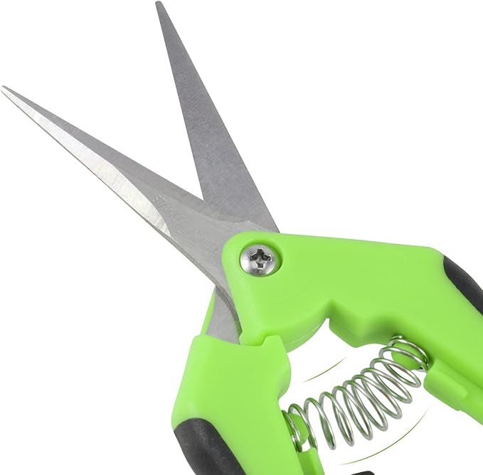 JEUIHAU 12 Pack 6.5 InchesPruning Shears Trimming Scissors Gardening Hand Pruning Shears with Straight Tip Stainless Steel Blades Micro Tip Pruning Snips for Trimming Garden Herb Plant Flower Green