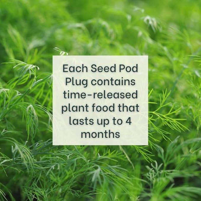 Fernleaf Dill - Complete Seed Pod Plugs with Plant Food - 10 Pods for Hydroponic Gardens Click and Grow Lettuce Grow and Outdoor Gardens