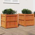 Raised Garden Bed Planters 2 Pcs Wax Brown Solid Pine Wood Outdoor Planters for Garden Patio and Balcony – Raised Garden Box for Vegetables Flowers and Herbs