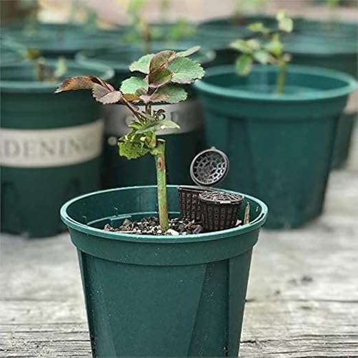 100Pcs Plant Fertilizer Basket SetPortable Root Fertilizer Box Plastic Planting Basket for Garden