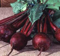 Beet Detroit Dark Red Great Heirloom Vegetable by Seed Kingdom (1 Lb Seeds)