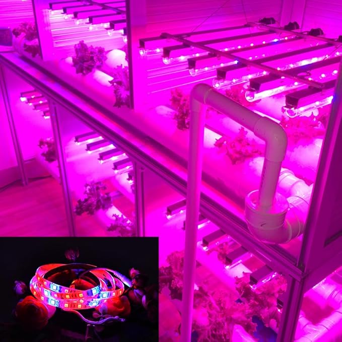 Fengyan Landscape Lights 4 Sets 5m LED Plant Grow Light Strip 12V 5050 Plant Light Strip Full Spectrum Plant Light Red:Blue 3:1 4:1 5:1 LED Street Lamp (Color : 3 red :1 Blue Size : 5M IP65)