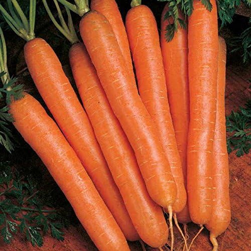 Park Seed Ultimate Garden Seed Collection – Non-GMO Heirloom Vegetable Herb &amp Flower Kit with 30 Premium Varieties for All Seasons – Raised Beds Plots &amp Containers Total of 4650 Seeds