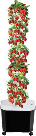 Vertical Hydroponic Tower Garden System 10 Layer 50 Pods with 50L Water Tank Hydroponic Grow Tower Kit with Water Pump &amp Timer BPA-Frees Modularity Indoor/Outdoor for Strawberries Tomatoes Lett