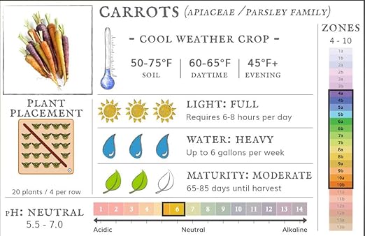 Scarlet Nantes Carrot NON GMO (25 Lbs)