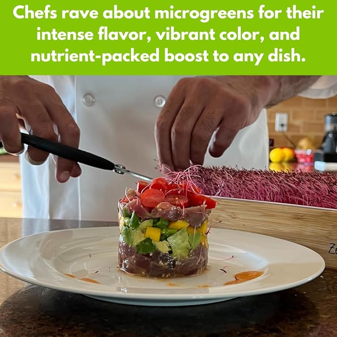 10 Variety Pack Microgreens Seeds - Broccoli Sunflower Pea Salad Mix Daikon Radish Kale Amaranth Spicy Salad Red Cabbage &amp Arugula. Grow Your own Microgreens with These Organic Seeds.