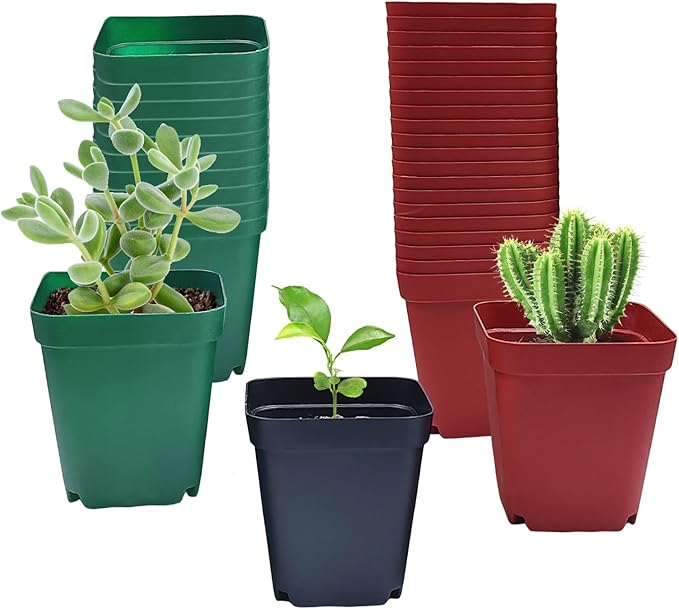 Square Plastic Nursery Pot 3 120 Pcs Deep Succulent Pots Small Flower Planter Seeds Starter Pots with Drainage (GreenBlackRed 40pcs Each2.7Inches)