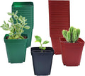 Square Plastic Nursery Pot 3 120 Pcs Deep Succulent Pots Small Flower Planter Seeds Starter Pots with Drainage (GreenBlackRed 40pcs Each2.7Inches)