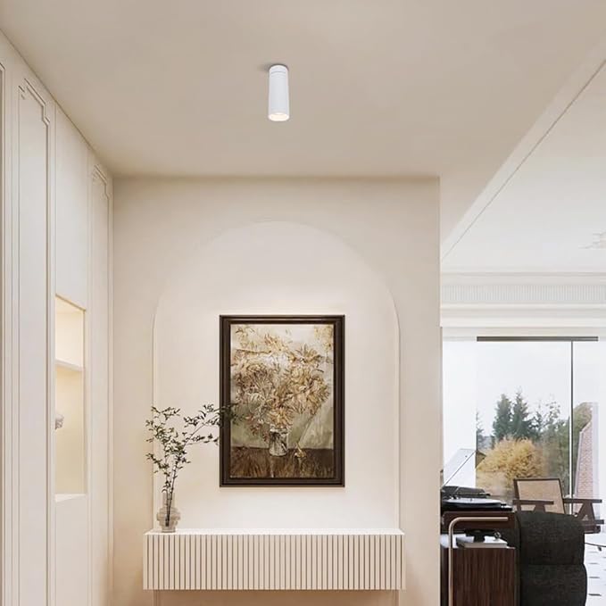 Spotlight Led Flush Mount Spotlamp Directio l Downlight Indoor Spotlights for Living Room Gallery Picture Panting Accent Lighting