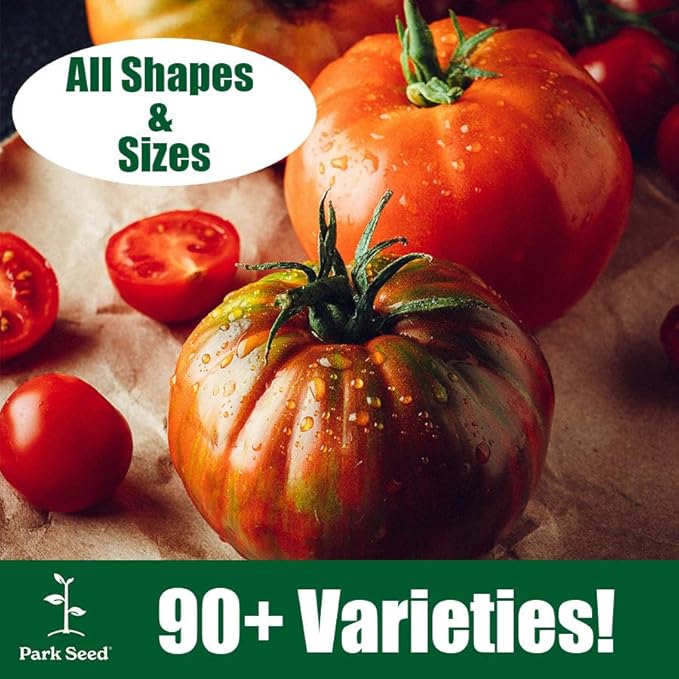 Park Seed Variety of Tomato Seeds Planting Vegetables Easy to Grow Non-GMO Perfect for Harvesting Better Bush Improved Hybrid Pack of 250