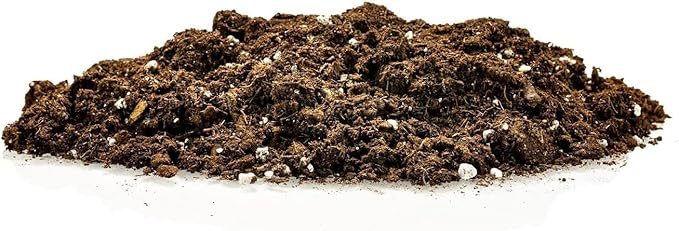 GARDENERA Citrus Tree Potting Soil Mix Special Blend for Indoor Oranges Lemons Limes and More - (4 Quart Bag)