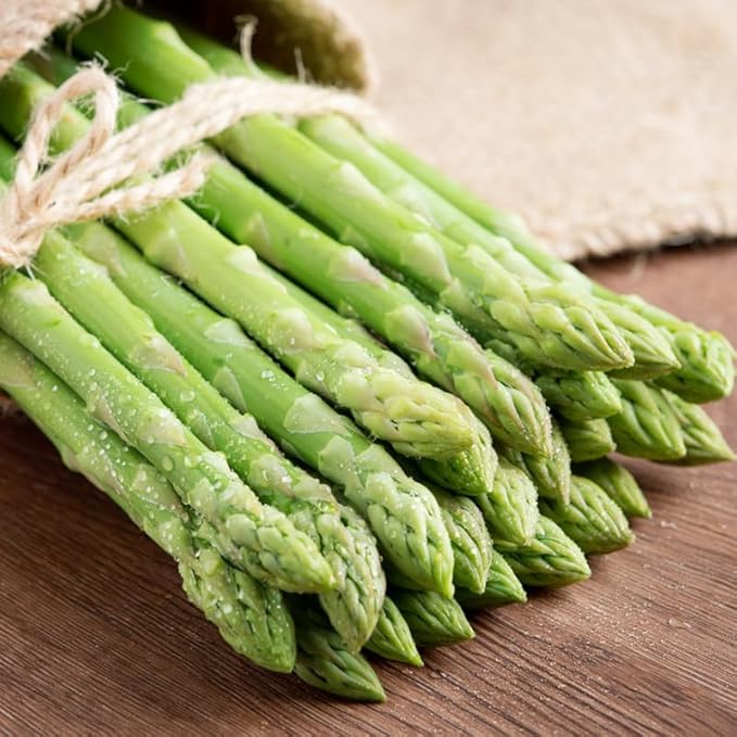 20 Green Asparagus Roots - Bare Root Asparagus Crowns for Planting Perennial Vegetable Plants for Outdoor Garden
