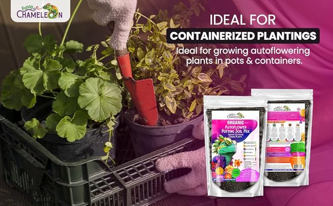 Organic Autoflower Potting Soil Mix – Ready-to-Use Living Soil No Fertilizers Needed – Balanced Nutrients Light Texture Excellent Drainage Boosts Germination &amp Root Growth (3 quarts)