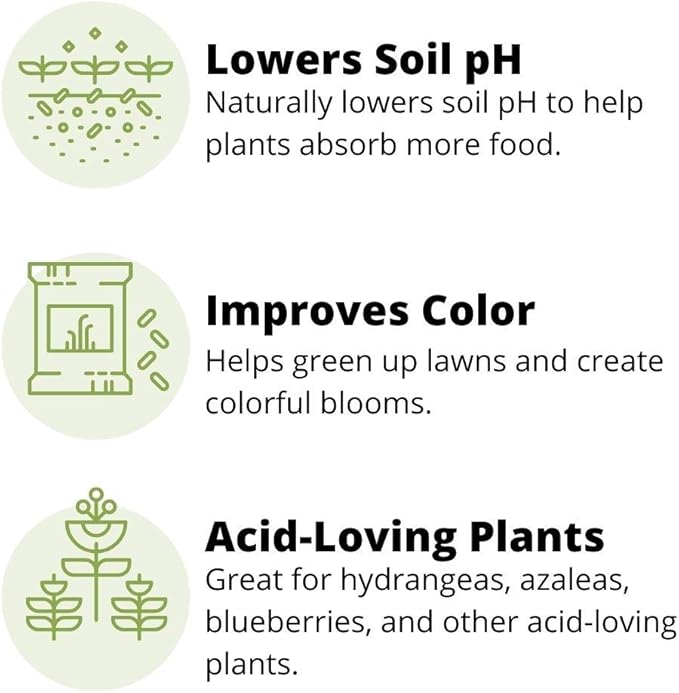 Earth Science Fast Acting Sulfur Granules – 2.5lb – Soil pH Reducer Lowers pH Instantly Reduces Nutrient Runoff Improves Growth &amp Color for Acid-Loving Plants Long-Lasting Lawn Care Supplement